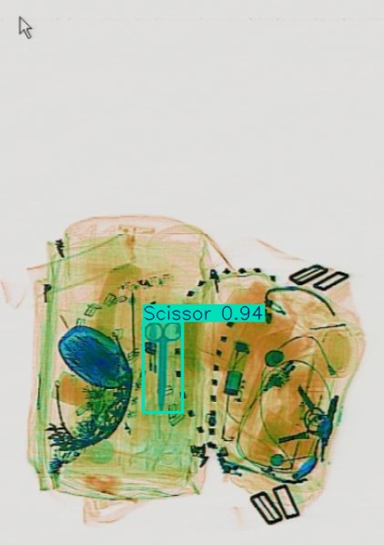 Detection preview by Segmentation_v8_large_300_train_300