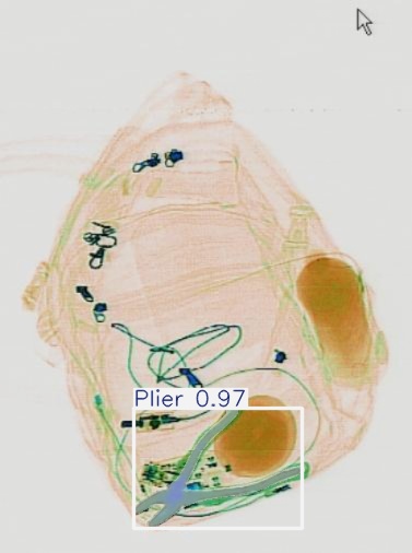 Detection preview by Segmentation_v8_large_300_train_300