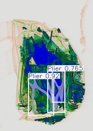 Detection preview by Segmentation_v8_large_300_train_300