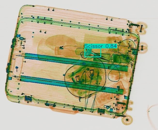 Detection preview by Segmentation_v8_large_300_train_300