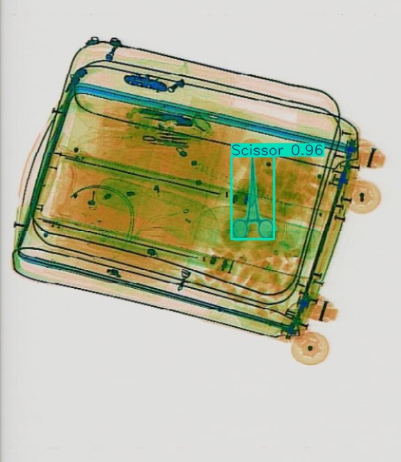 Detection preview by Segmentation_v8_large_300_train_300