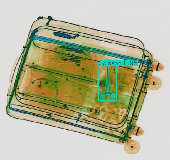 Detection preview by Segmentation_v8_large_300_train_300