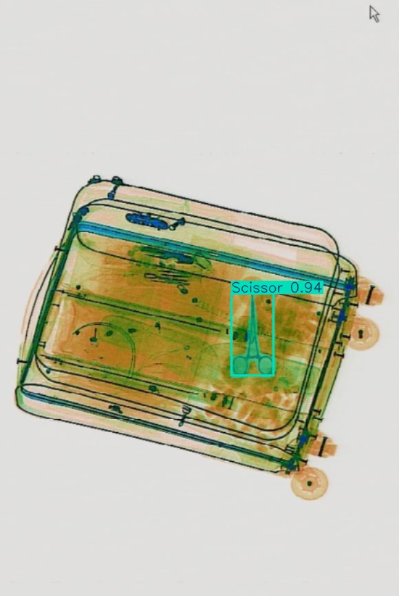 Detection preview by Segmentation_v8_large_300_train_300