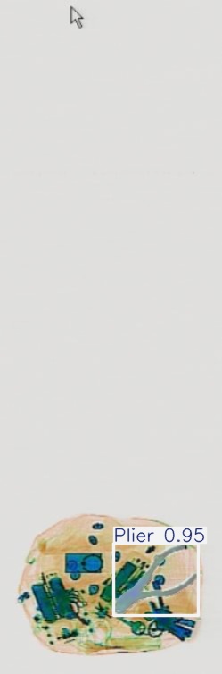 Detection preview by Segmentation_v8_large_300_train_300