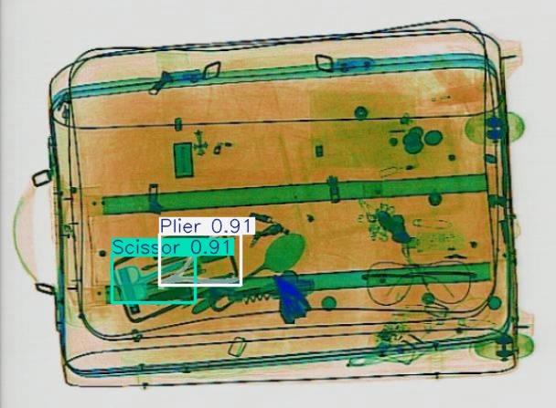 Detection preview by Segmentation_v8_large_300_train_300