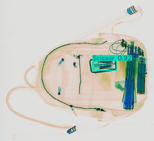 Detection preview by Segmentation_v8_large_300_train_300