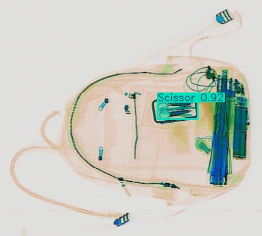 Detection preview by Segmentation_v8_large_300_train_300