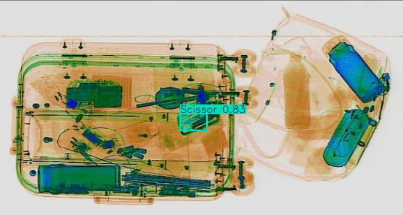 Detection preview by Segmentation_v8_large_300_train_300