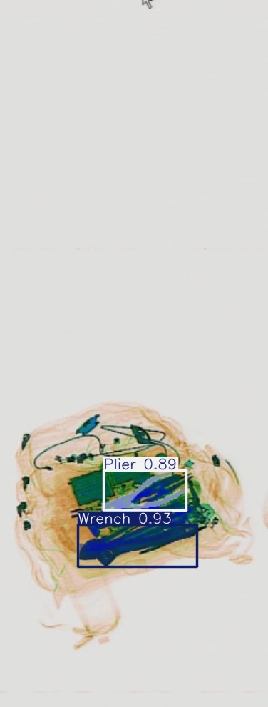 Detection preview by Segmentation_v8_large_300_train_300