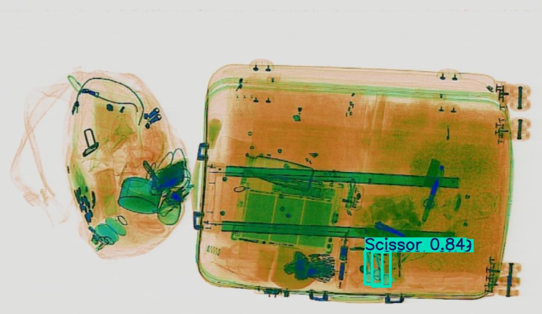 Detection preview by Segmentation_v8_large_300_train_300