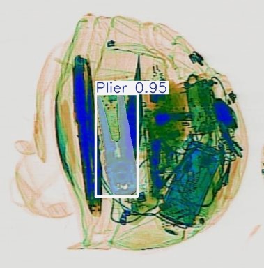 Detection preview by Segmentation_v8_large_300_train_300