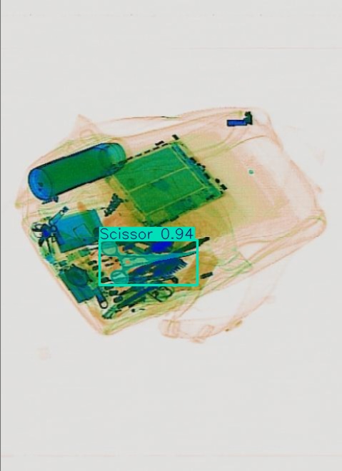 Detection preview by Segmentation_v8_large_300_train_300