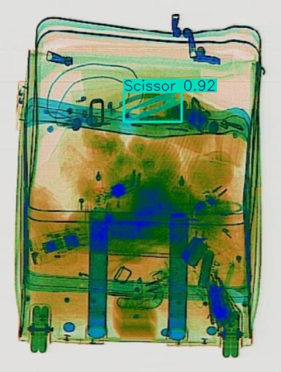 Detection preview by Segmentation_v8_large_300_train_300