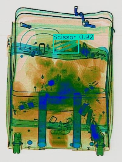 Detection preview by Segmentation_v8_large_300_train_300