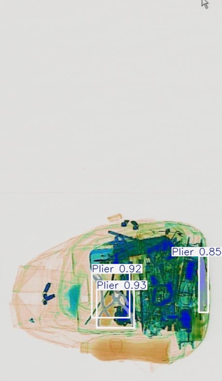 Detection preview by Segmentation_v8_large_300_train_300