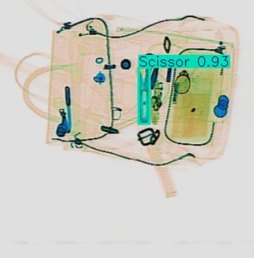 Detection preview by Segmentation_v8_large_300_train_300