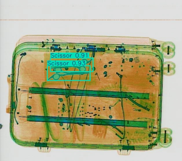 Detection preview by Segmentation_v8_large_300_train_300