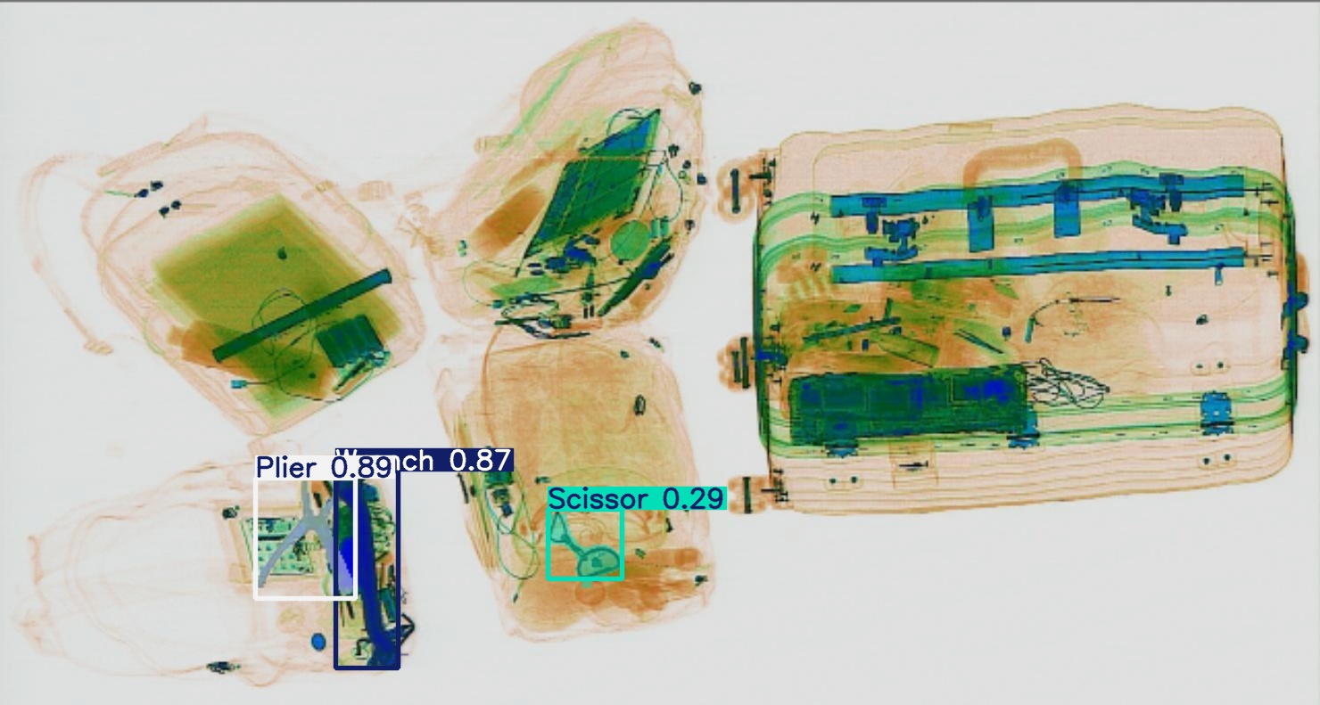 Detection preview by Segmentation_v8_large_300_train_300