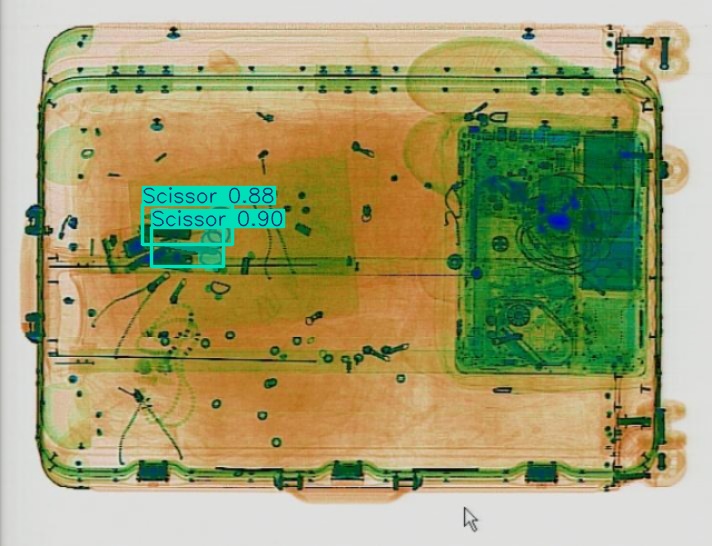 Detection preview by Segmentation_v8_large_300_train_300