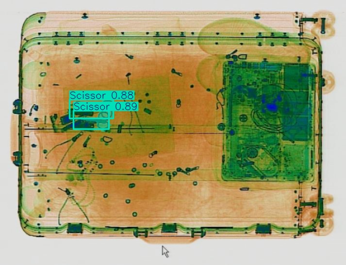 Detection preview by Segmentation_v8_large_300_train_300