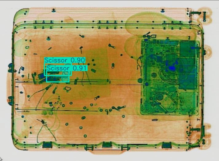 Detection preview by Segmentation_v8_large_300_train_300
