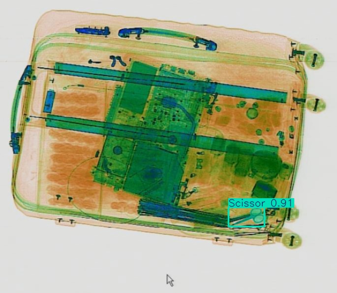 Detection preview by Segmentation_v8_large_300_train_300