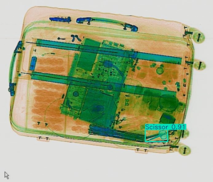 Detection preview by Segmentation_v8_large_300_train_300