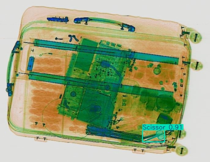 Detection preview by Segmentation_v8_large_300_train_300