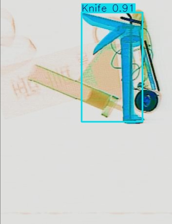 Detection preview by Segmentation_v8_large_300_train_300