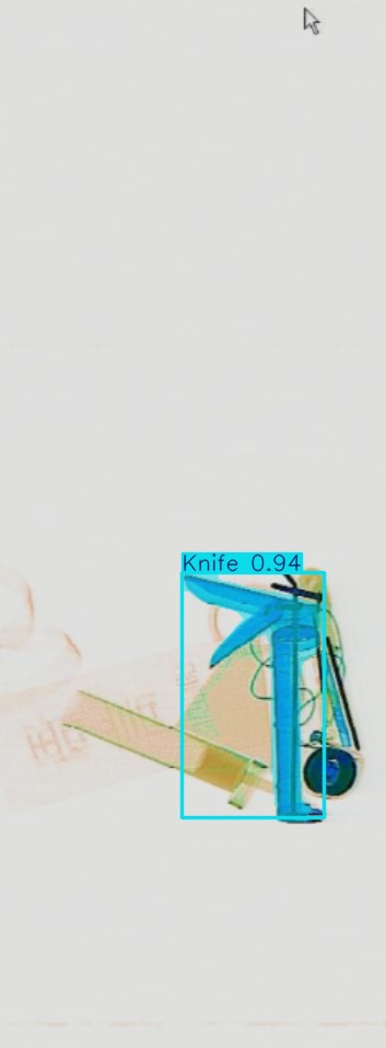 Detection preview by Segmentation_v8_large_300_train_300