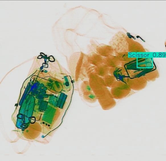 Detection preview by Segmentation_v8_large_300_train_300