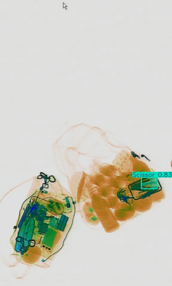 Detection preview by Segmentation_v8_large_300_train_300