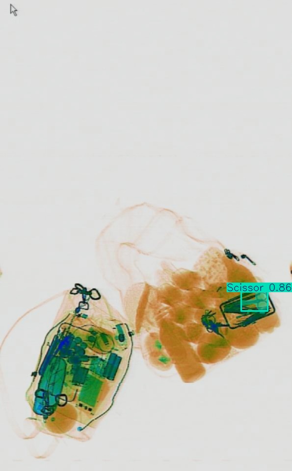 Detection preview by Segmentation_v8_large_300_train_300