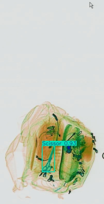 Detection preview by Segmentation_v8_large_300_train_300