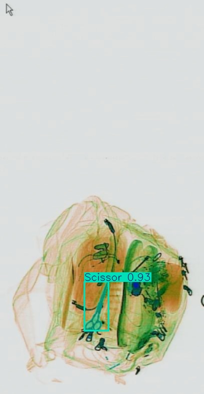 Detection preview by Segmentation_v8_large_300_train_300