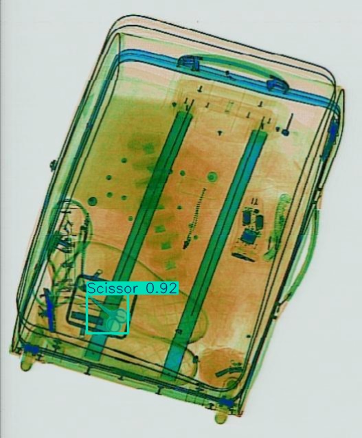 Detection preview by Segmentation_v8_large_300_train_300