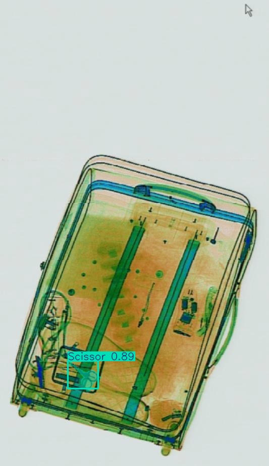 Detection preview by Segmentation_v8_large_300_train_300