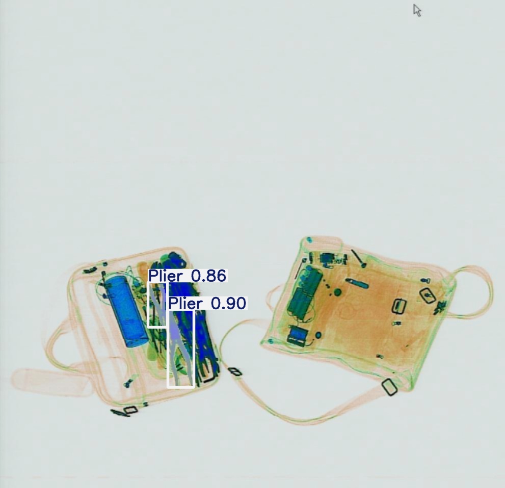 Detection preview by Segmentation_v8_large_300_train_300