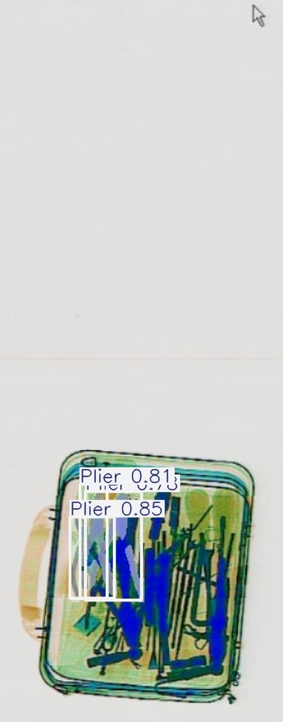 Detection preview by Segmentation_v8_large_300_train_300