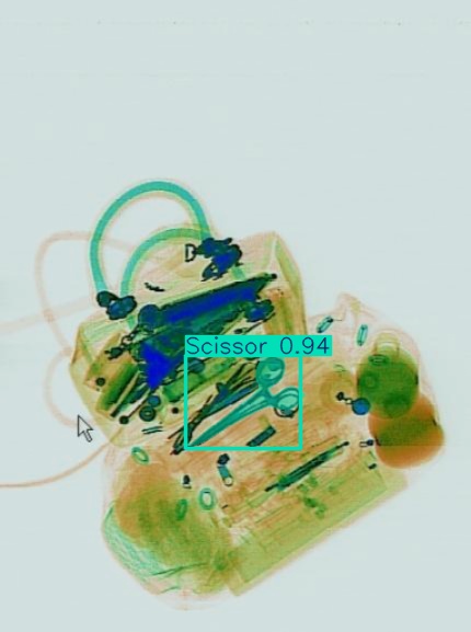 Detection preview by Segmentation_v8_large_300_train_300