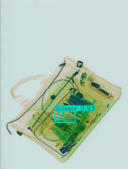 Detection preview by Segmentation_v8_large_300_train_300