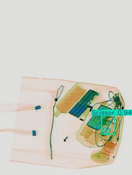 Detection preview by Segmentation_v8_large_300_train_300