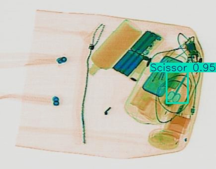 Detection preview by Segmentation_v8_large_300_train_300