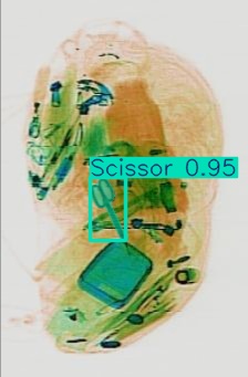 Detection preview by Segmentation_v8_large_300_train_300