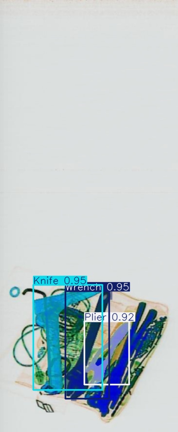 Detection preview by Segmentation_v8_large_300_train_300