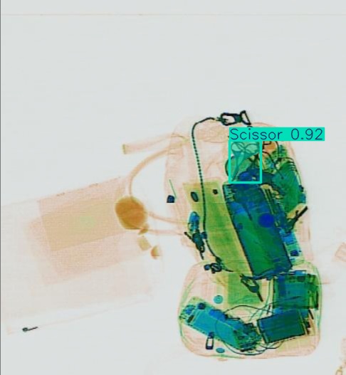 Detection preview by Segmentation_v8_large_300_train_300