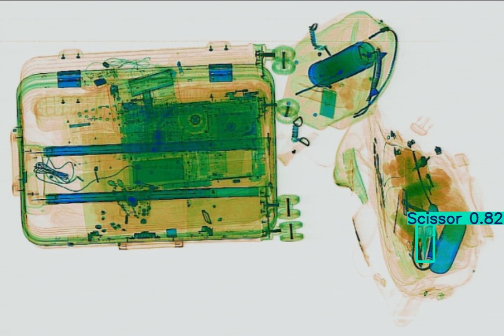 Detection preview by Segmentation_v8_large_300_train_300