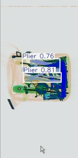 Detection preview by Segmentation_v8_large_300_train_300