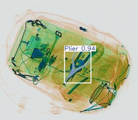 Detection preview by Segmentation_v8_large_300_train_300