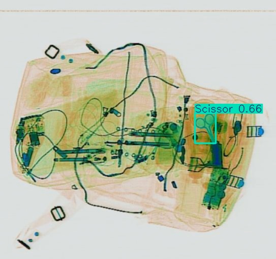 Detection preview by Segmentation_v8_large_300_train_300